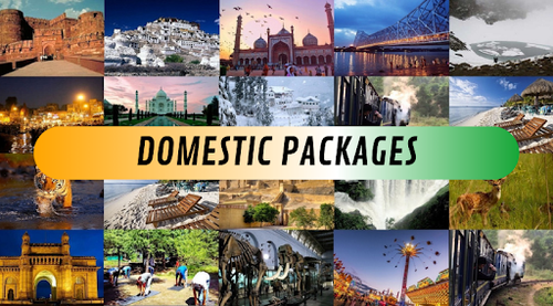 Best Domestic tour packages