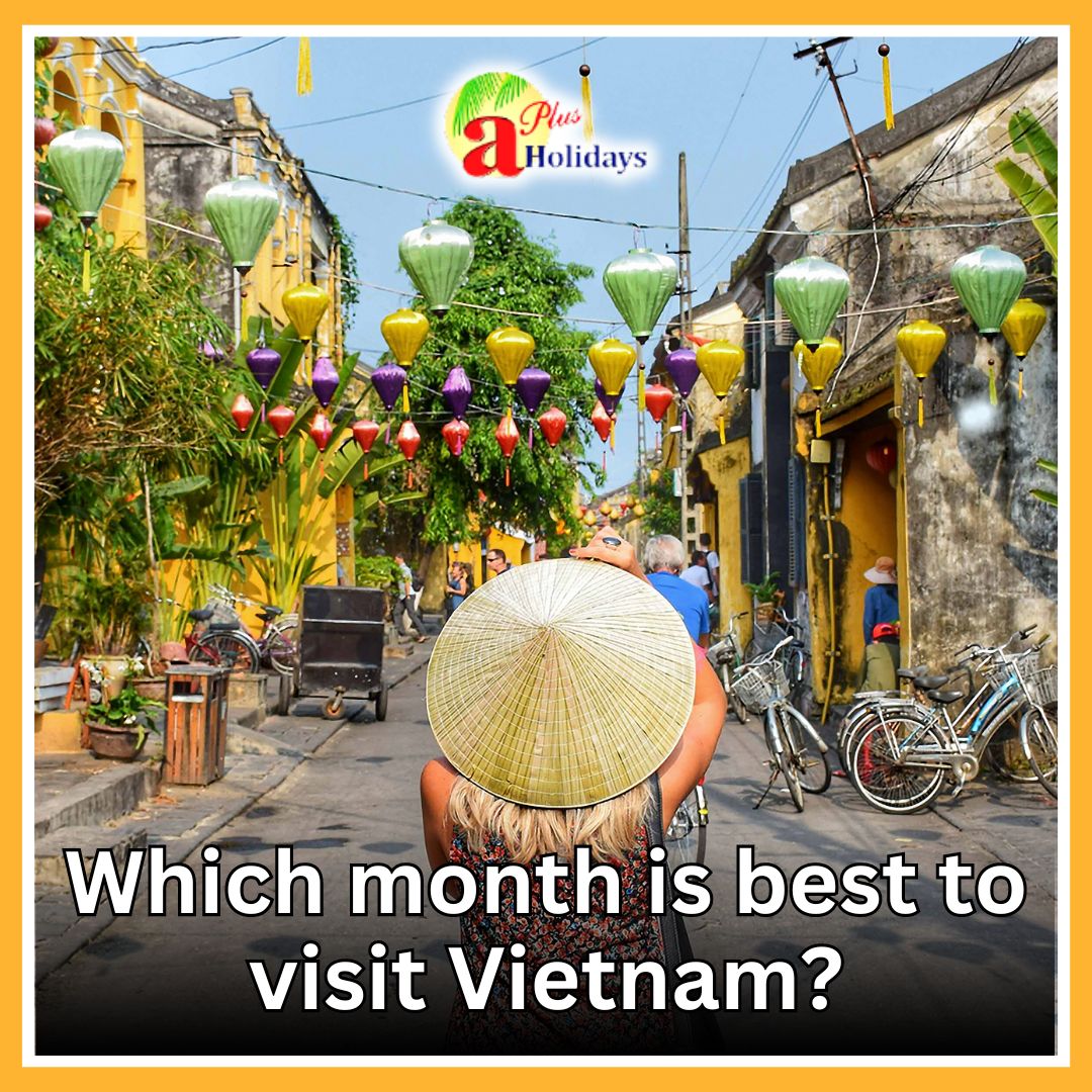 Which month is best to visit Vietnam?