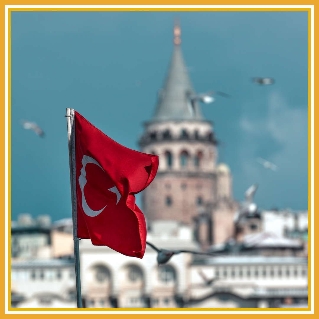 apply Turkish Visa for India in  pitampura delhi