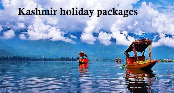 Kashmir Packages services in Delhi